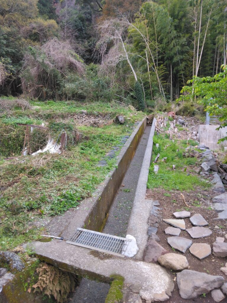 水路と周囲の草が刈られた風景、左側には雑木が見える。